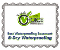 B-Dry Waterproofing Review